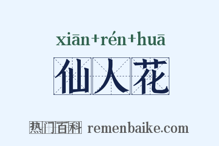 仙人花是什么意思的图片